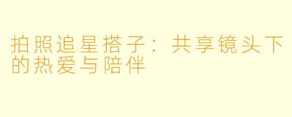 拍照追星搭子：共享镜头下的热爱与陪伴