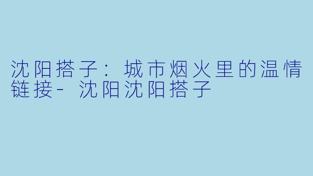 沈阳搭子：城市烟火里的温情链接-沈阳沈阳搭子