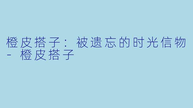 橙皮搭子：被遗忘的时光信物