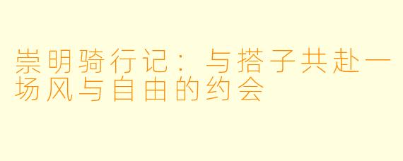 崇明骑行记：与搭子共赴一场风与自由的约会