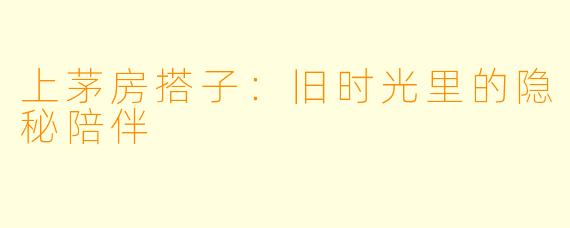 上茅房搭子：旧时光里的隐秘陪伴