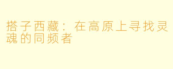 搭子西藏：在高原上寻找灵魂的同频者