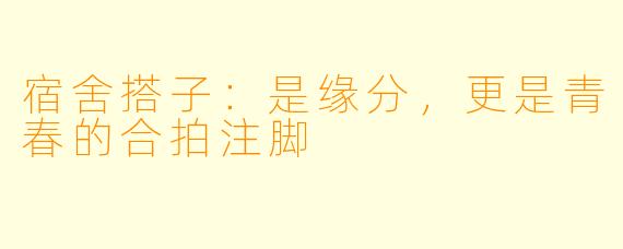宿舍搭子：是缘分，更是青春的合拍注脚