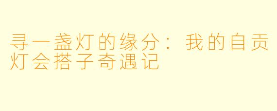 寻一盏灯的缘分：我的自贡灯会搭子奇遇记