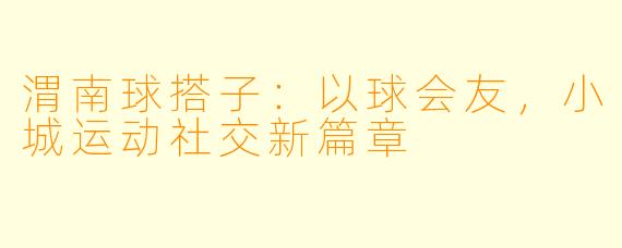 渭南球搭子：以球会友，小城运动社交新篇章