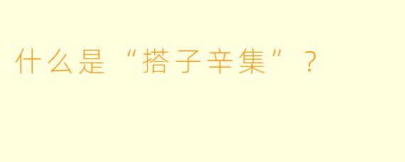 什么是“搭子辛集”？