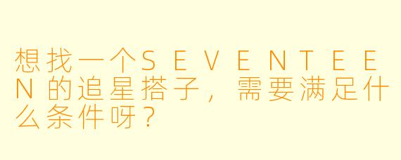想找一个SEVENTEEN的追星搭子，需要满足什么条件呀？