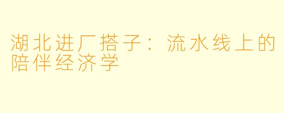 湖北进厂搭子：流水线上的陪伴经济学