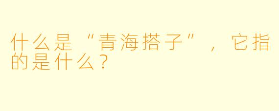 什么是“青海搭子”，它指的是什么？