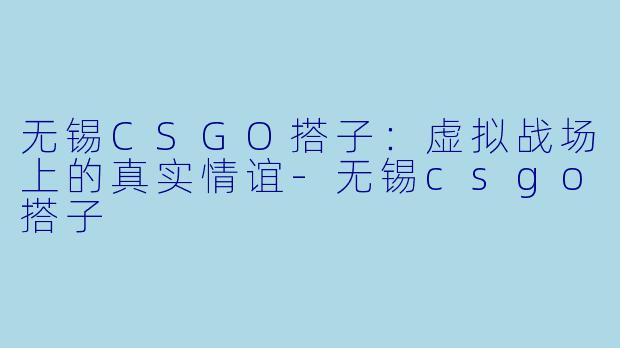 无锡CSGO搭子：虚拟战场上的真实情谊-无锡csgo搭子