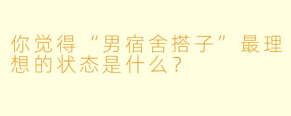 你觉得“男宿舍搭子”最理想的状态是什么？