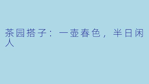 茶园搭子：一壶春色，半日闲人