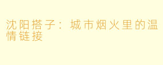 沈阳搭子：城市烟火里的温情链接