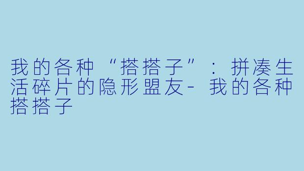 我的各种“搭搭子”：拼凑生活碎片的隐形盟友-我的各种搭搭子