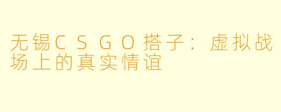 无锡CSGO搭子：虚拟战场上的真实情谊