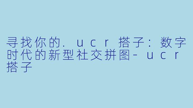 寻找你的.ucr搭子：数字时代的新型社交拼图-ucr搭子