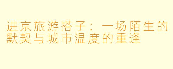 进京旅游搭子：一场陌生的默契与城市温度的重逢