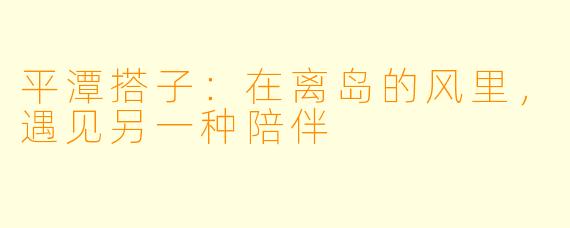 平潭搭子：在离岛的风里，遇见另一种陪伴