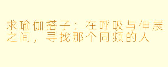 求瑜伽搭子：在呼吸与伸展之间，寻找那个同频的人