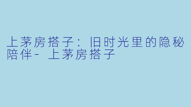 上茅房搭子：旧时光里的隐秘陪伴-上茅房搭子
