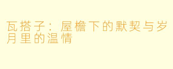 瓦搭子：屋檐下的默契与岁月里的温情