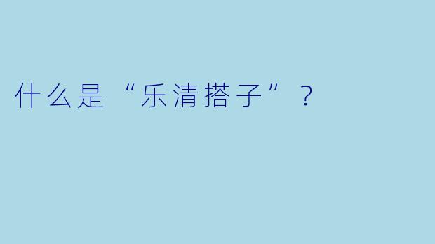 什么是“乐清搭子”？