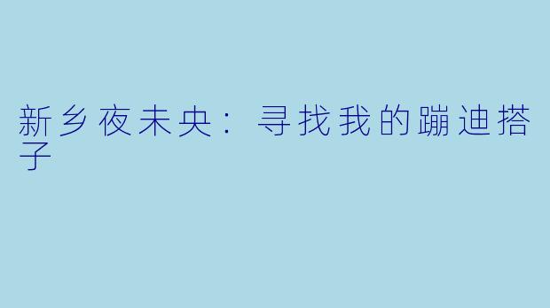 新乡夜未央：寻找我的蹦迪搭子