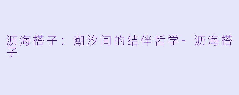 沥海搭子：潮汐间的结伴哲学-沥海搭子
