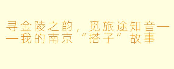 寻金陵之韵，觅旅途知音——我的南京“搭子”故事