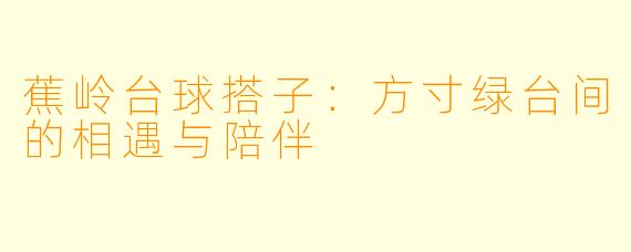 蕉岭台球搭子：方寸绿台间的相遇与陪伴