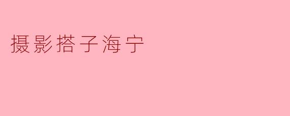 摄影搭子海宁