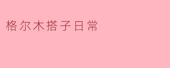 格尔木搭子日常