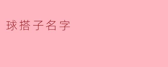 球搭子名字