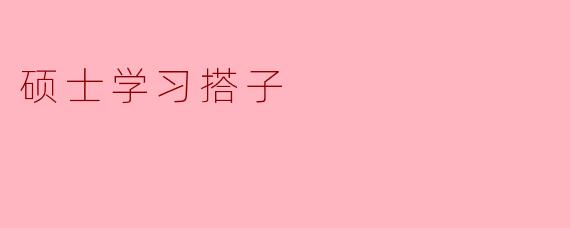 硕士学习搭子