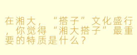 在湘大，“搭子”文化盛行，你觉得“湘大搭子”最重要的特质是什么？