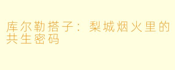 库尔勒搭子：梨城烟火里的共生密码