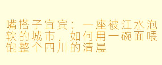 嘴搭子宜宾：一座被江水泡软的城市，如何用一碗面喂饱整个四川的清晨
