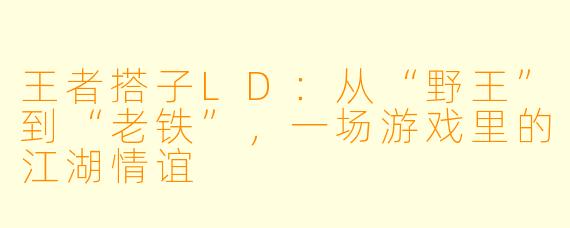 王者搭子LD:从“野王”到“老铁”,一场游戏里的江湖情谊
