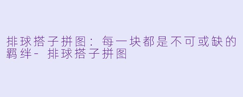 排球搭子拼图：每一块都是不可或缺的羁绊-排球搭子拼图