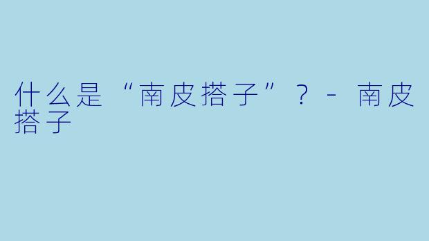 什么是“南皮搭子”？-南皮搭子
