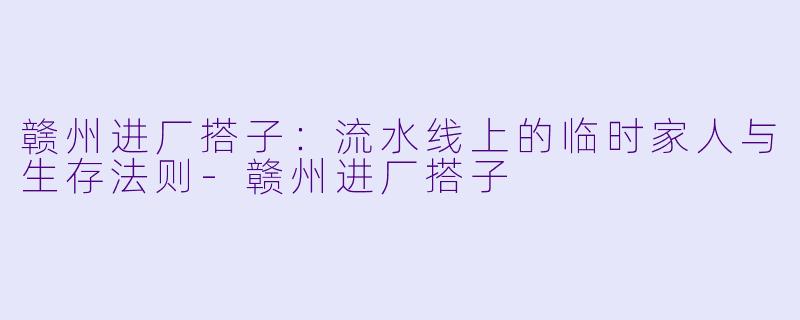 赣州进厂搭子:流水线上的临时家人与生存法则-赣州进厂搭子