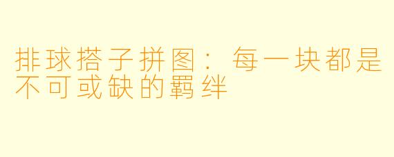排球搭子拼图：每一块都是不可或缺的羁绊