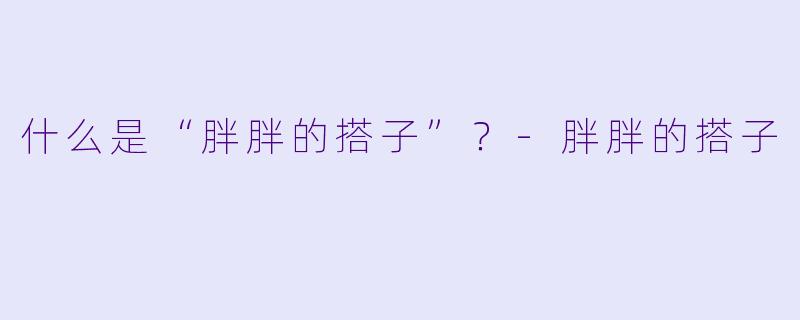 什么是“胖胖的搭子”？