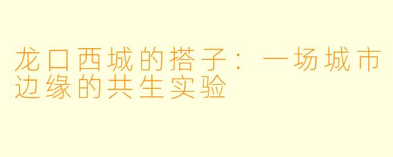 龙口西城的搭子:一场城市边缘的共生实验