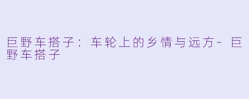 巨野车搭子：车轮上的乡情与远方-巨野车搭子