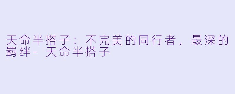 天命半搭子：不完美的同行者，最深的羁绊