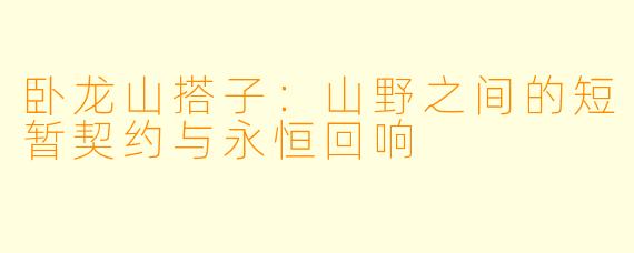 卧龙山搭子：山野之间的短暂契约与永恒回响