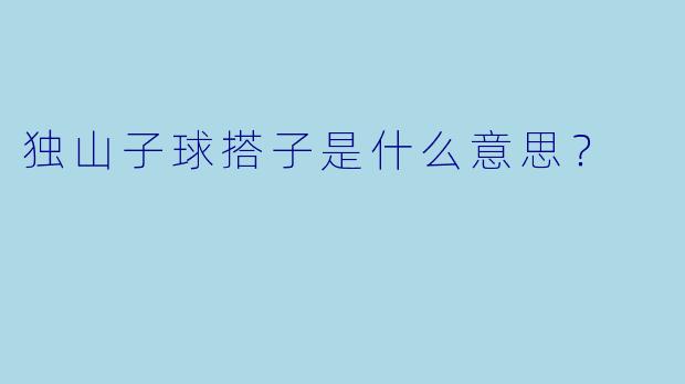 独山子球搭子是什么意思？
