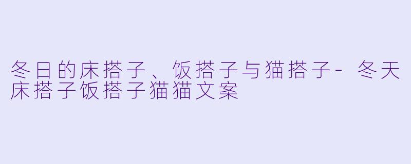 冬日的床搭子、饭搭子与猫搭子-冬天床搭子饭搭子猫猫文案