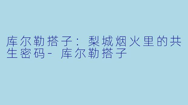 库尔勒搭子：梨城烟火里的共生密码-库尔勒搭子